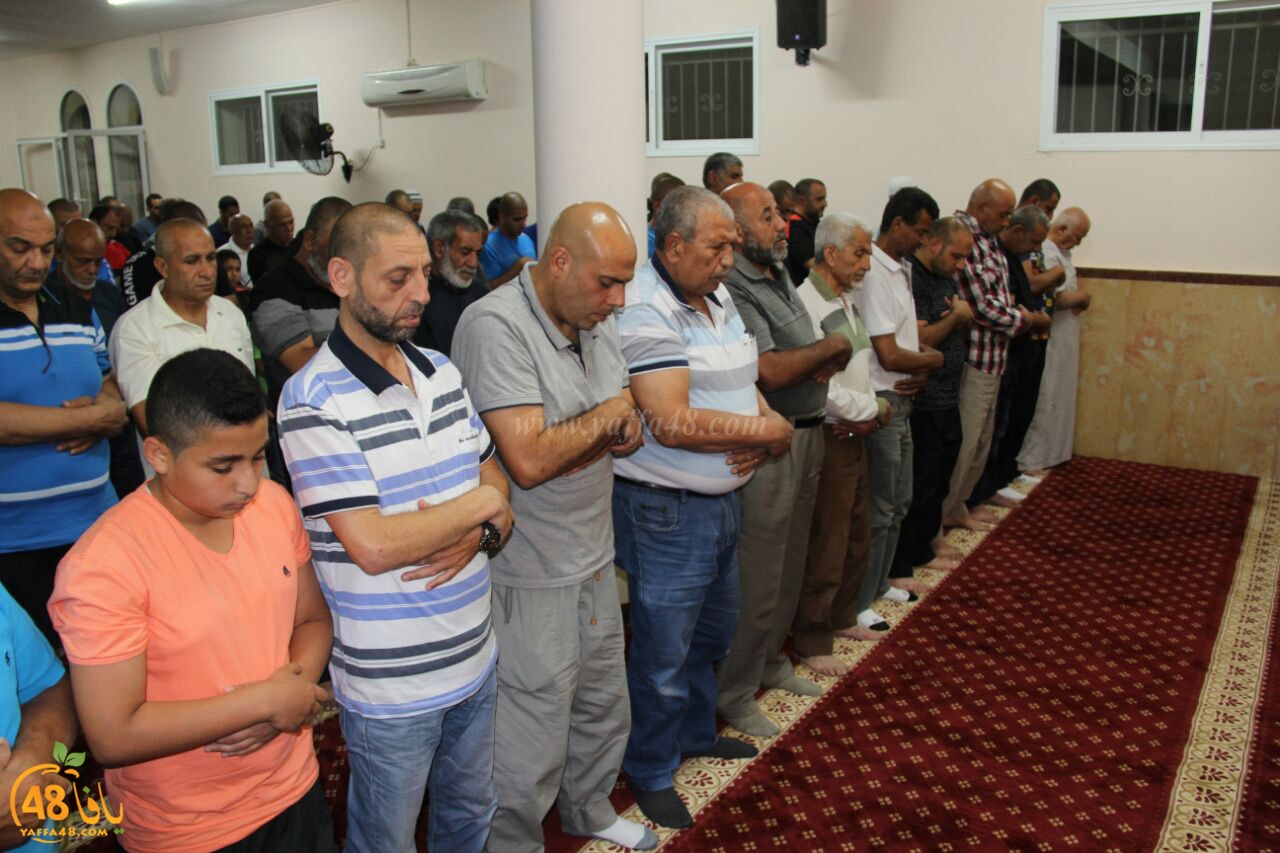 tarawe7 jamaki (30).jpg